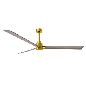 Alessandra 3 Blade Ceiling Fan - No Light - Image 101