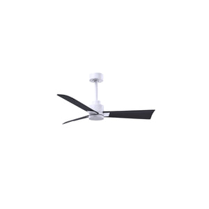 Alessandra 3 Blade Ceiling Fan - No Light - Image 124
