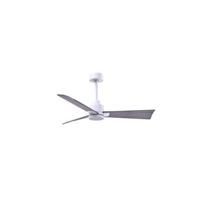 Alessandra 3 Blade Ceiling Fan - No Light - Image 128