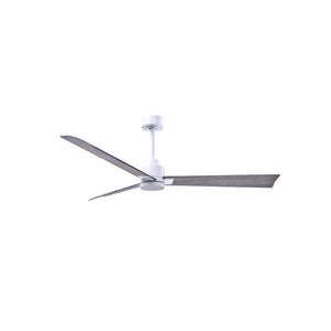 Alessandra 3 Blade Ceiling Fan - No Light - Image 158
