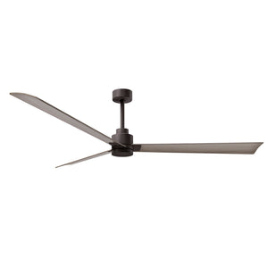 Alessandra 3 Blade Ceiling Fan - No Light - Image 169