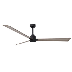 Alessandra 3 Blade Ceiling Fan - No Light - Image 181