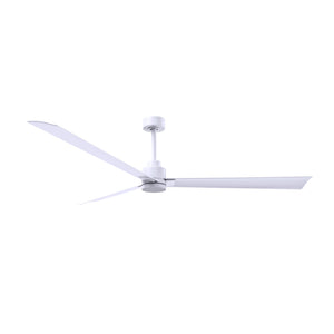 Alessandra 3 Blade Ceiling Fan - No Light - Image 183