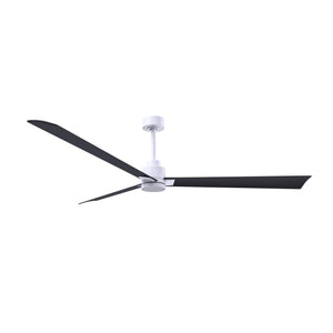 Alessandra 3 Blade Ceiling Fan - No Light - Image 184