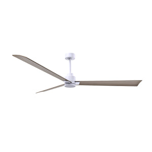 Alessandra 3 Blade Ceiling Fan - No Light - Image 187