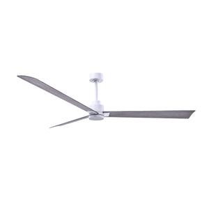 Alessandra 3 Blade Ceiling Fan - No Light - Image 188