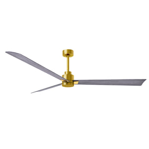 Alessandra 3 Blade Ceiling Fan - No Light - Image 194