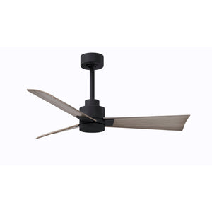 Alessandra 3 Blade Ceiling Fan - No Light - Image 29