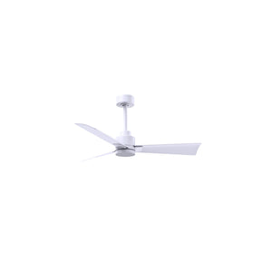 Alessandra 3 Blade Ceiling Fan - No Light - Image 31