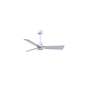 Alessandra 3 Blade Ceiling Fan - No Light - Image 33
