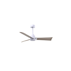 Alessandra 3 Blade Ceiling Fan - No Light - Image 35