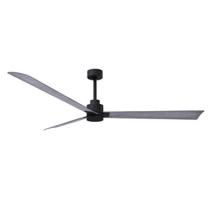 Alessandra 3 Blade Ceiling Fan - No Light - Image 90