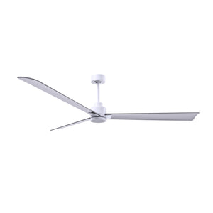 Alessandra 3 Blade Ceiling Fan - No Light - Image 93