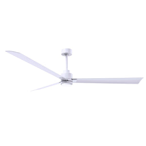 Alessandra 3 Blade Ceiling Fan With Light - Image 100