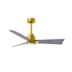 Alessandra 3 Blade Ceiling Fan With Light - Image 136