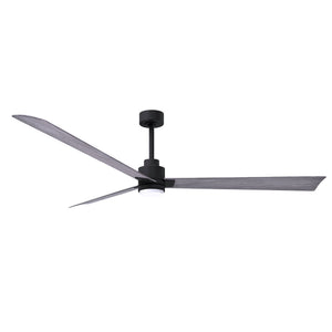 Alessandra 3 Blade Ceiling Fan With Light - Image 184