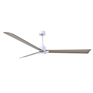 Alessandra 3 Blade Ceiling Fan With Light - Image 191