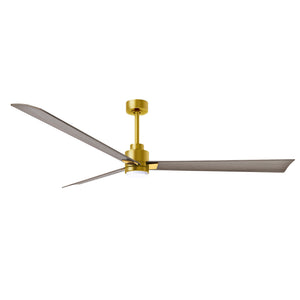 Alessandra 3 Blade Ceiling Fan With Light - Image 197