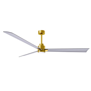 Alessandra 3 Blade Ceiling Fan With Light - Image 199