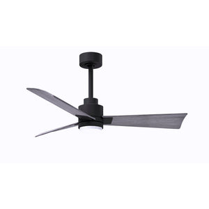 Alessandra 3 Blade Ceiling Fan With Light - Image 28