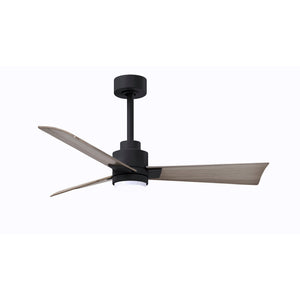 Alessandra 3 Blade Ceiling Fan With Light - Image 29