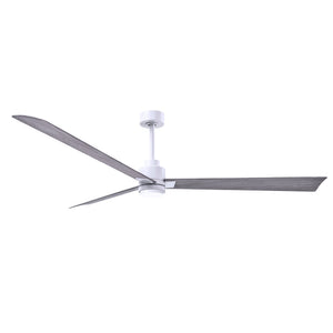Alessandra 3 Blade Ceiling Fan With Light - Image 94