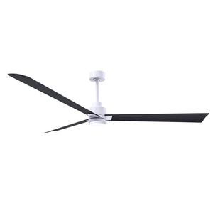 Alessandra 3 Blade Ceiling Fan With Light - Image 98