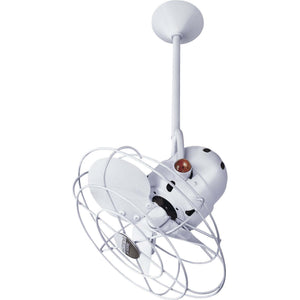 Bianca Direcional Ceiling Fan - Metal Blades - Image 9
