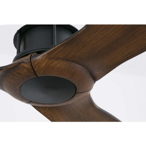 Just Fan - Image 9