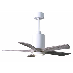 Patricia 5 Blade Ceiling Fan - Image 2