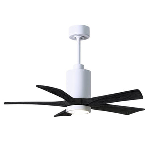 Patricia 5 Blade Ceiling Fan - Image 1