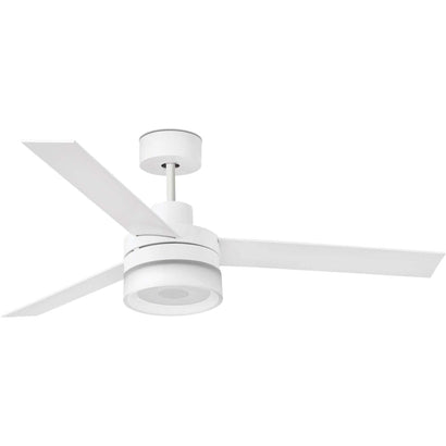 Ice Ceiling Fan