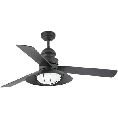 Winch Fan w/ Designer Light Kit